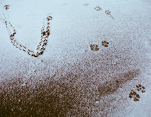 Rozprávky / Fairy Tales